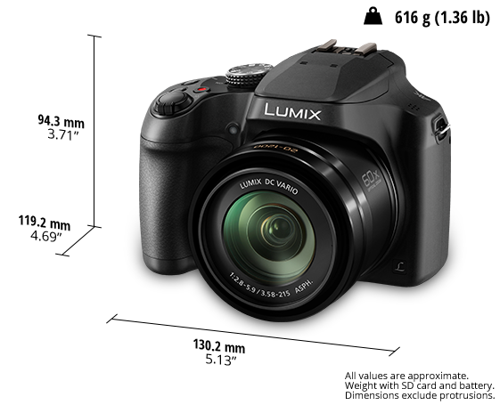 Panasonic DCFZ80 Ultra Wide and Dynamic Zoom Digital Camera DCFZ